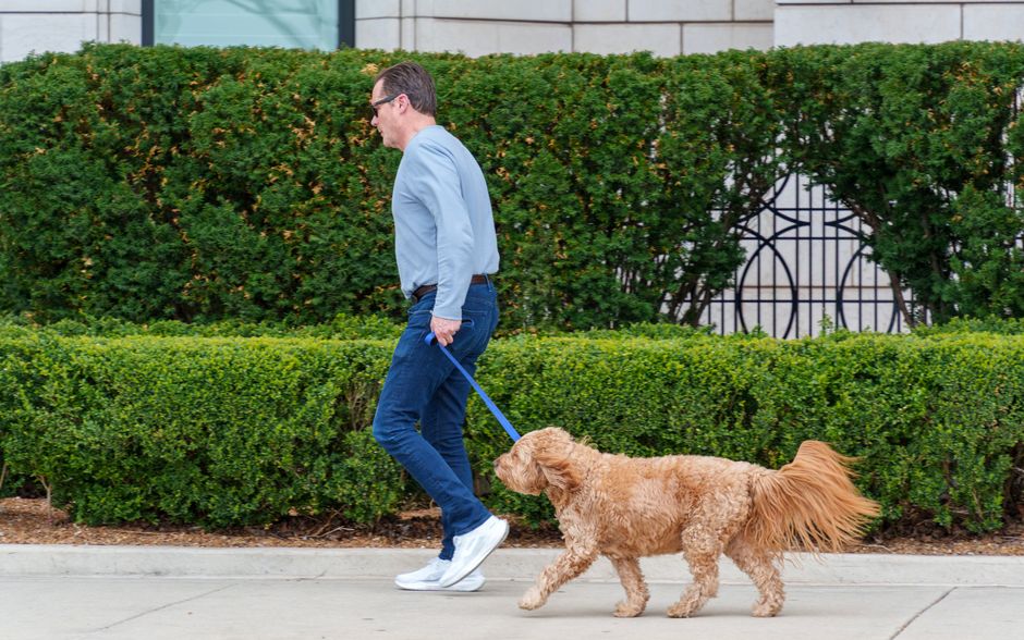 愛犬と散歩する男性