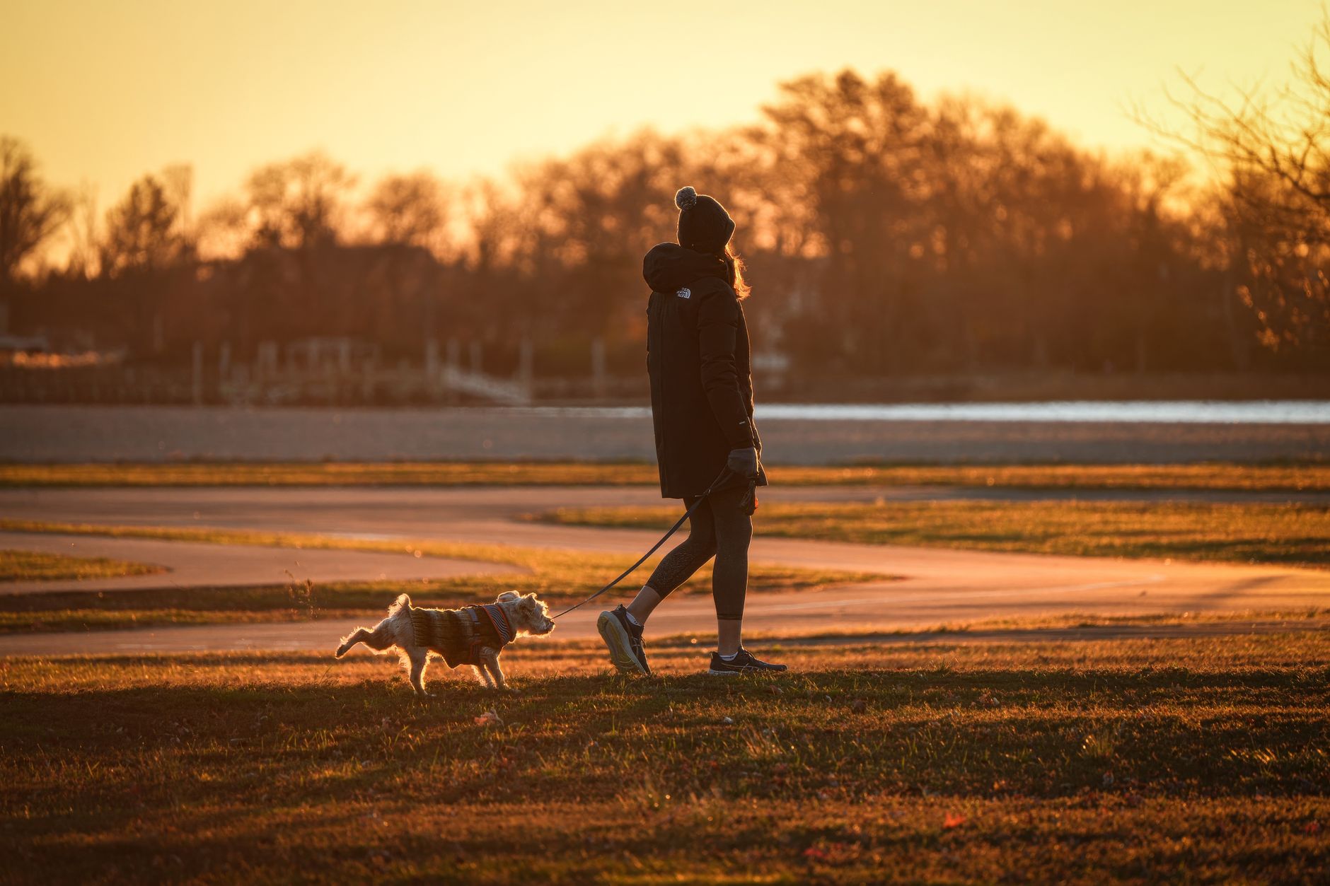 夕暮れの公園で愛犬と散歩する女性