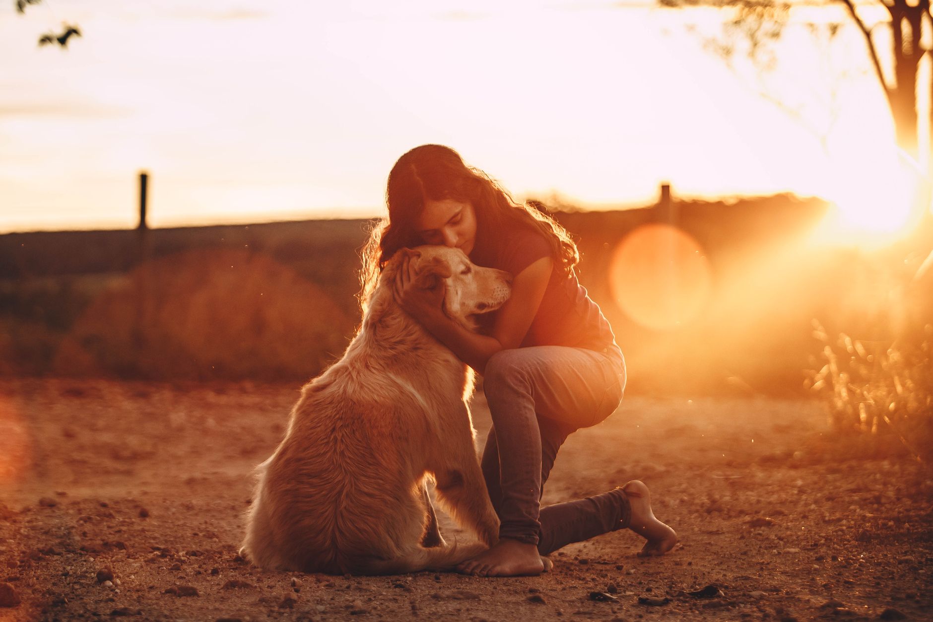 夕暮れの光の中で愛犬を抱きしめる女性